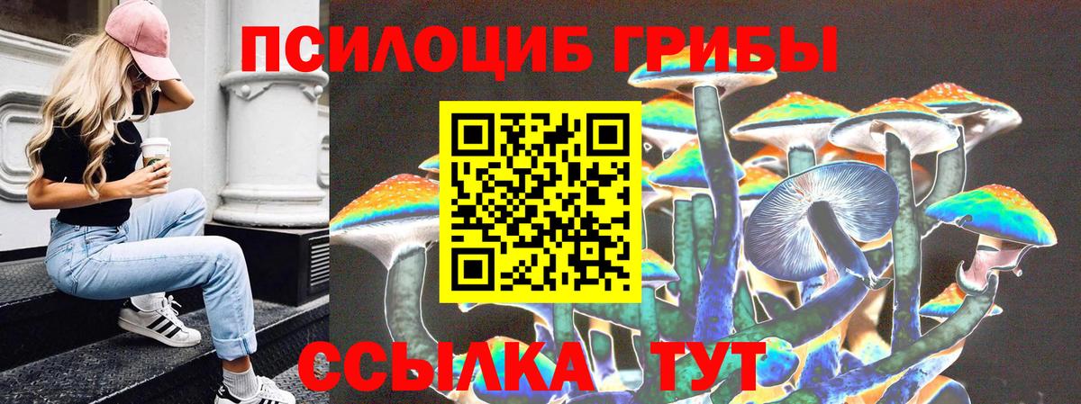 Галлюциногенные грибы Psilocybine cubensis  Вход с VPN  Знаменск  Псилоцибиновые грибы мухоморы 